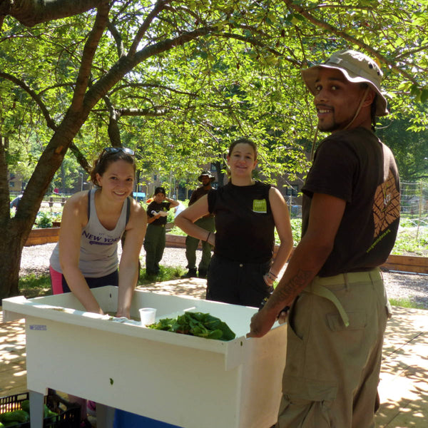Eva NYC Partners with Green City Force