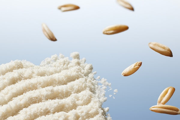 Rice Starch
