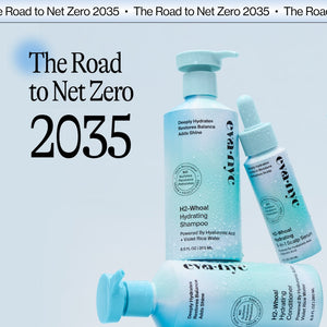 The Road to Net Zero
