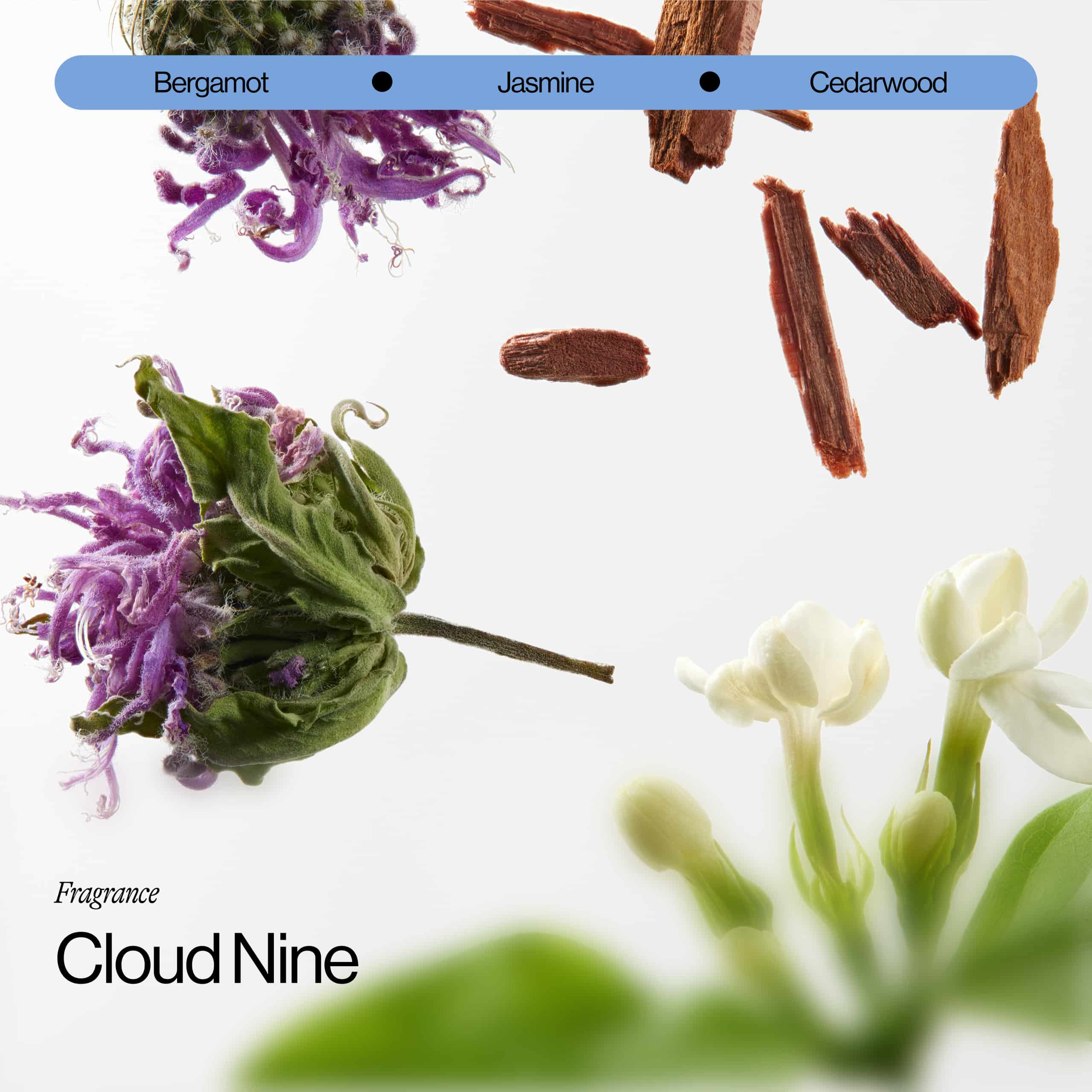 Eva NYC H2-Whoa Hydrating Collection