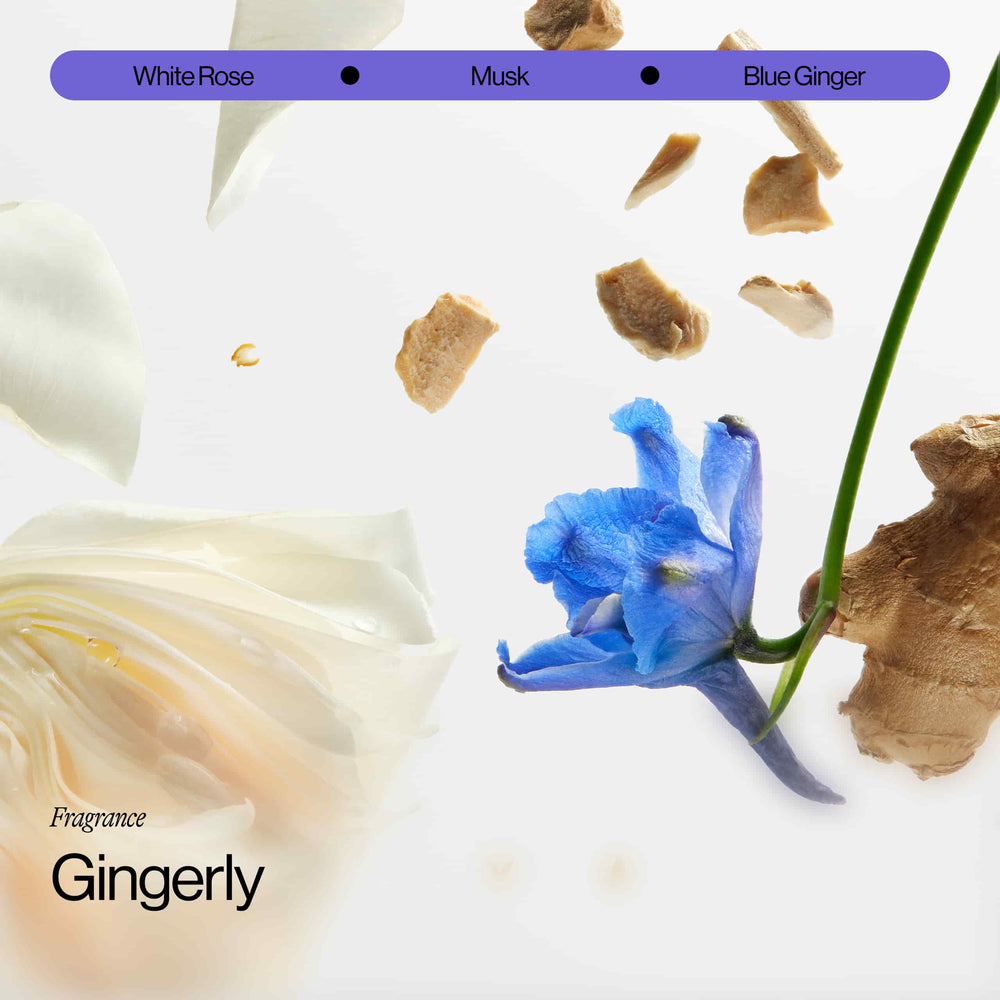 Gingerly Fragrance