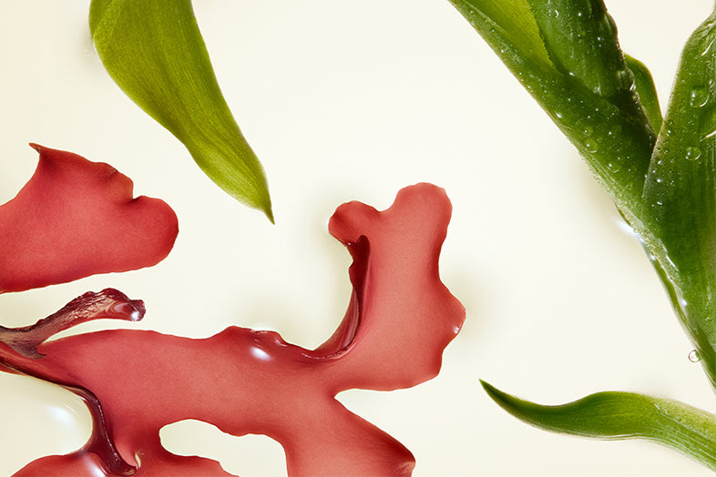 Eva NYC Damage Defender Strength Treatment